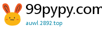 99pypy.com